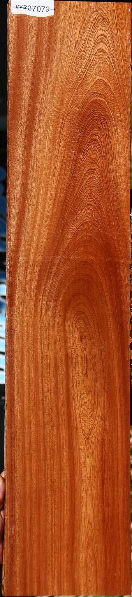 Sapele Lumber
