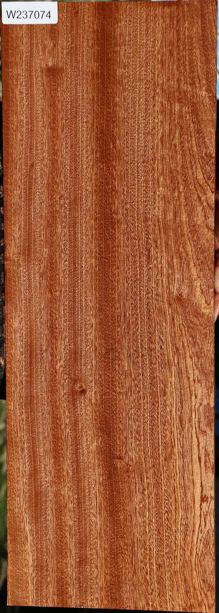 Figured Sapele Lumber