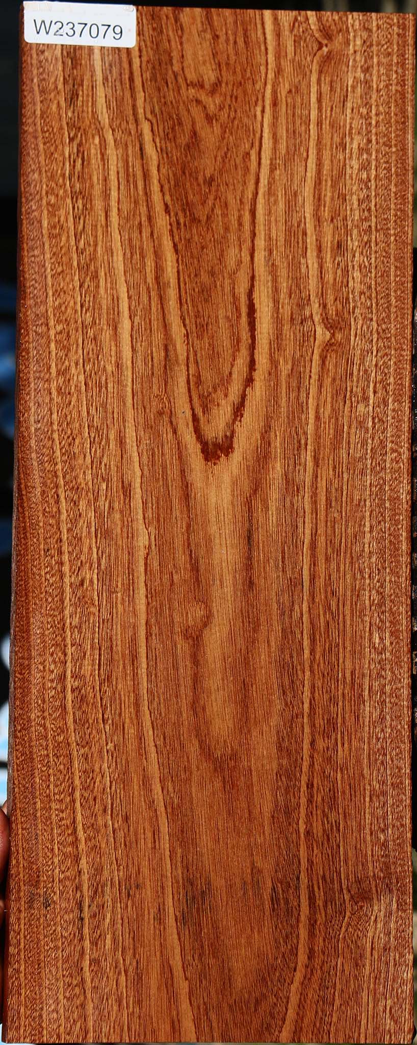 Sapele Lumber
