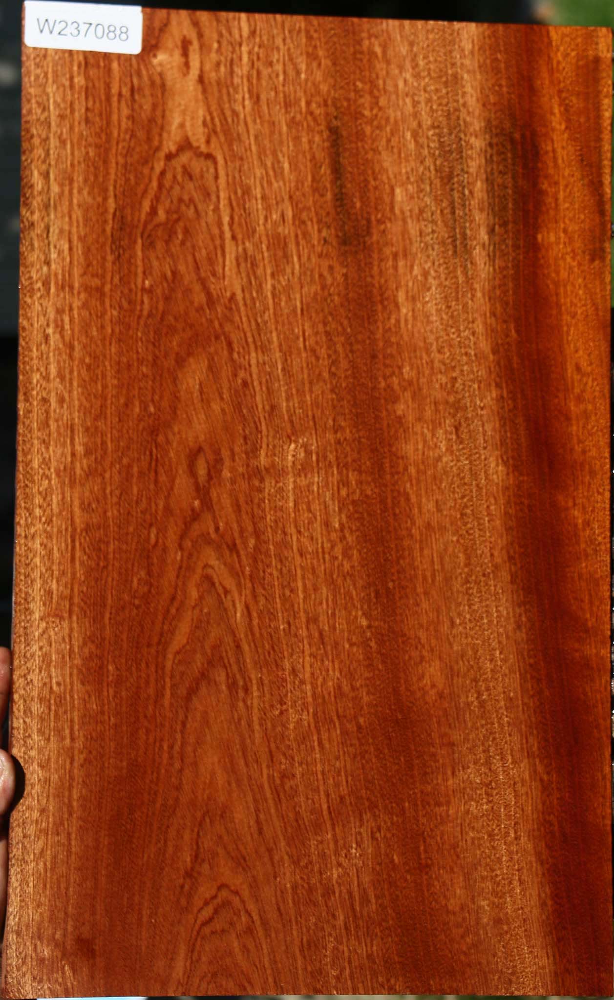 Sapele Lumber