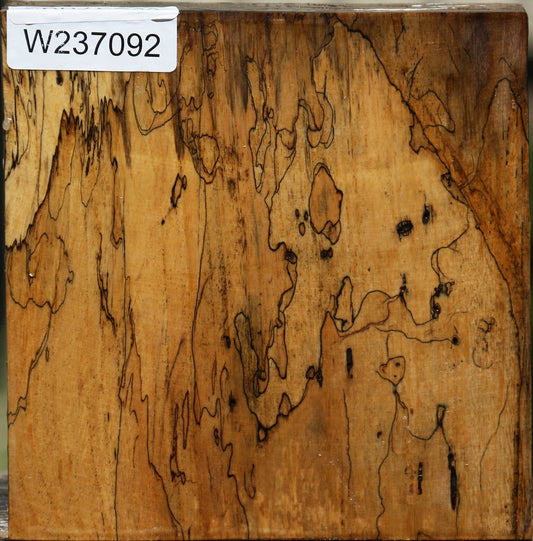 Extra Fancy Spalted Tamarind Bowl Blank