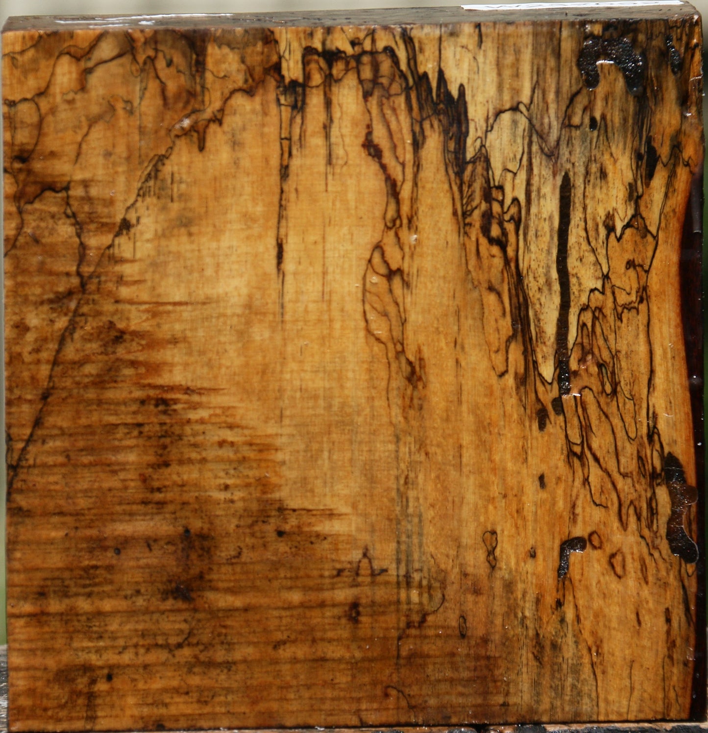 Extra Fancy Spalted Tamarind Bowl Blank