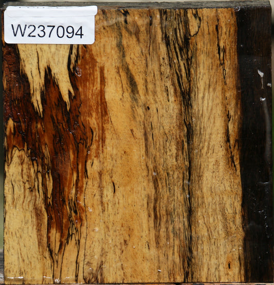 Figured Spalted Tamarind Bowl Blank