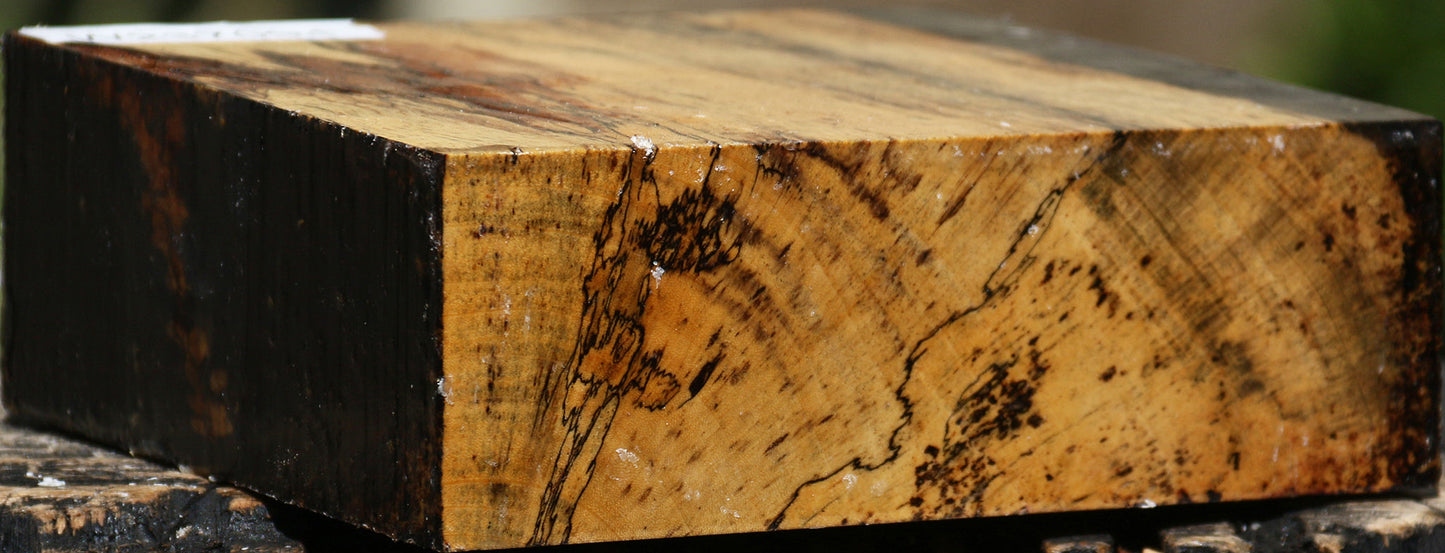 Figured Spalted Tamarind Bowl Blank