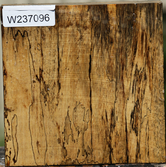 Extra Fancy Spalted Tamarind Bowl Blank