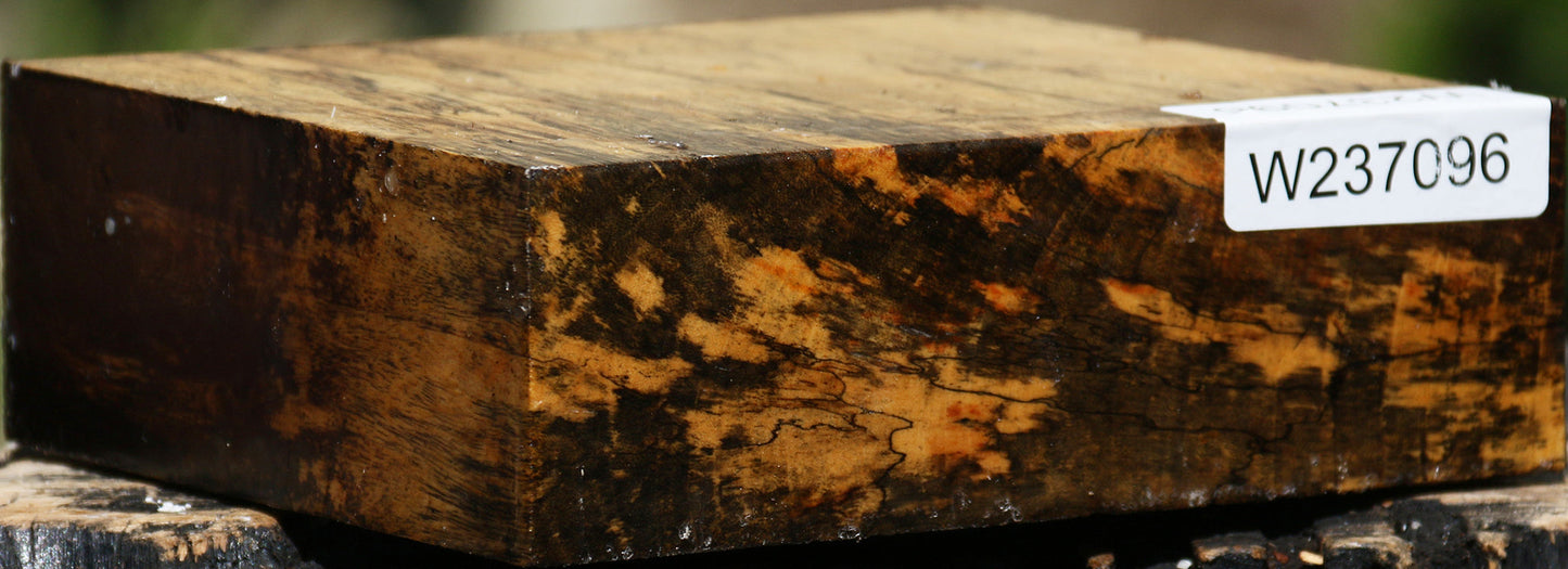 Extra Fancy Spalted Tamarind Bowl Blank