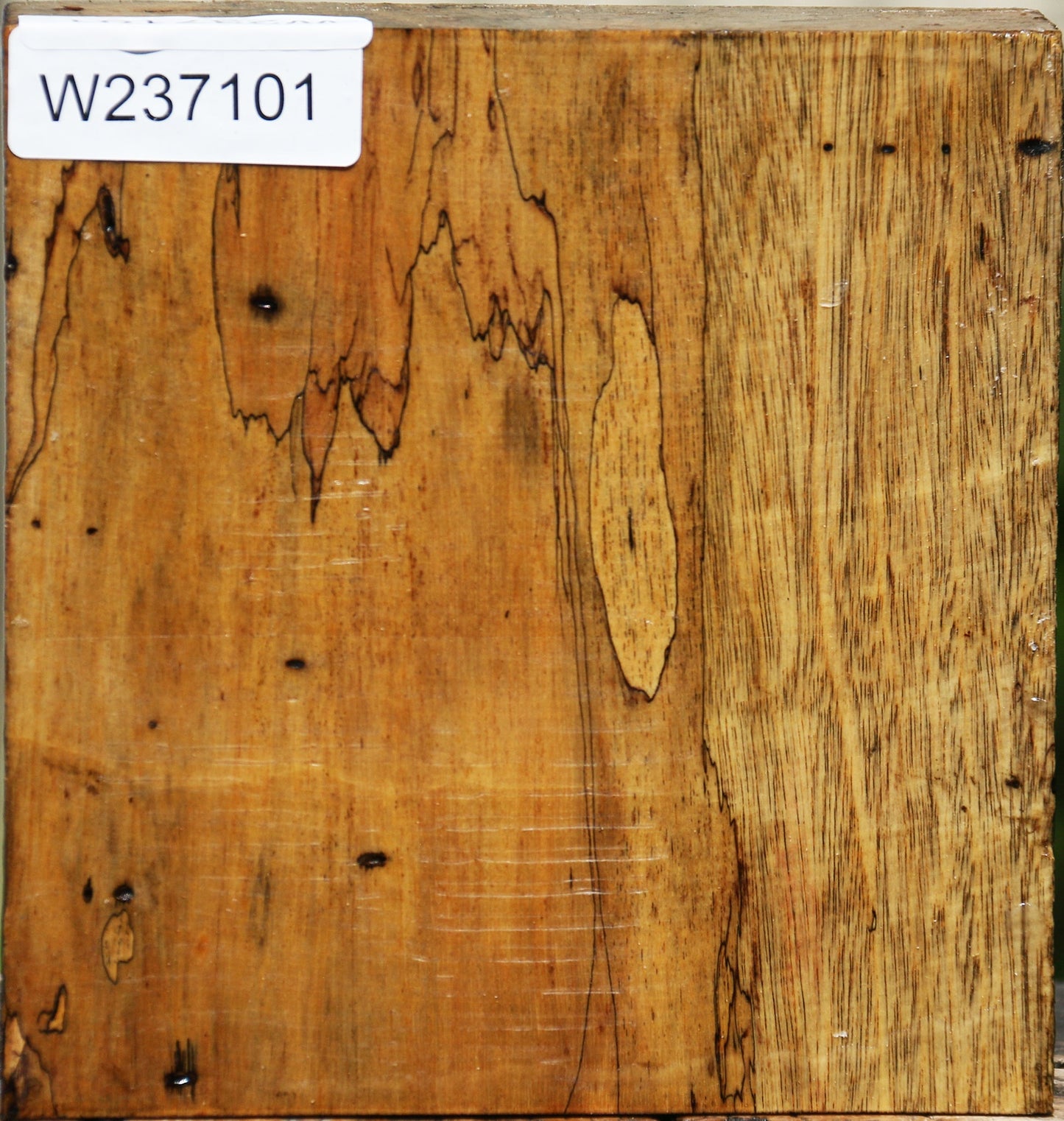 Spalted Tamarind Bowl Blank