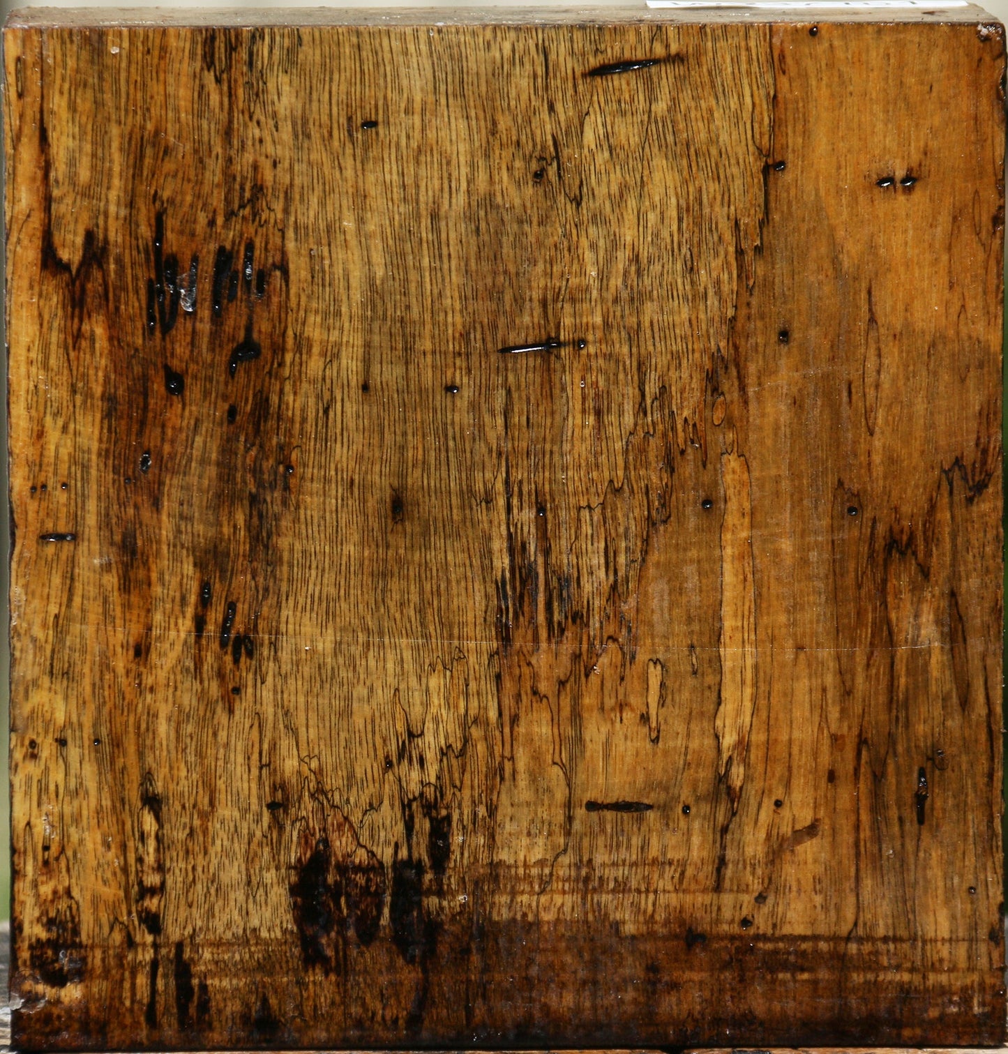 Spalted Tamarind Bowl Blank