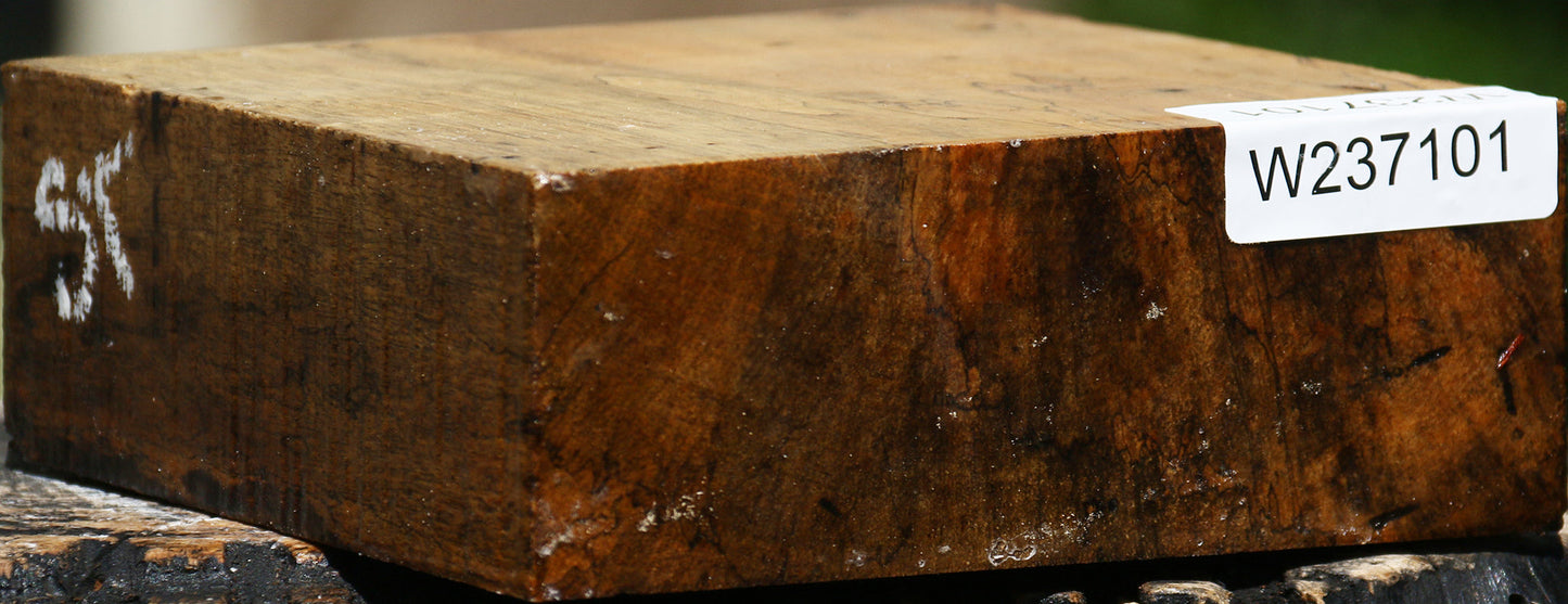 Spalted Tamarind Bowl Blank