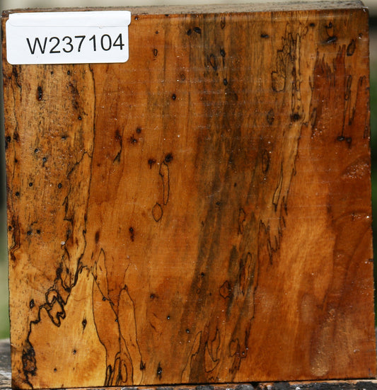 Spalted Tamarind Bowl Blank