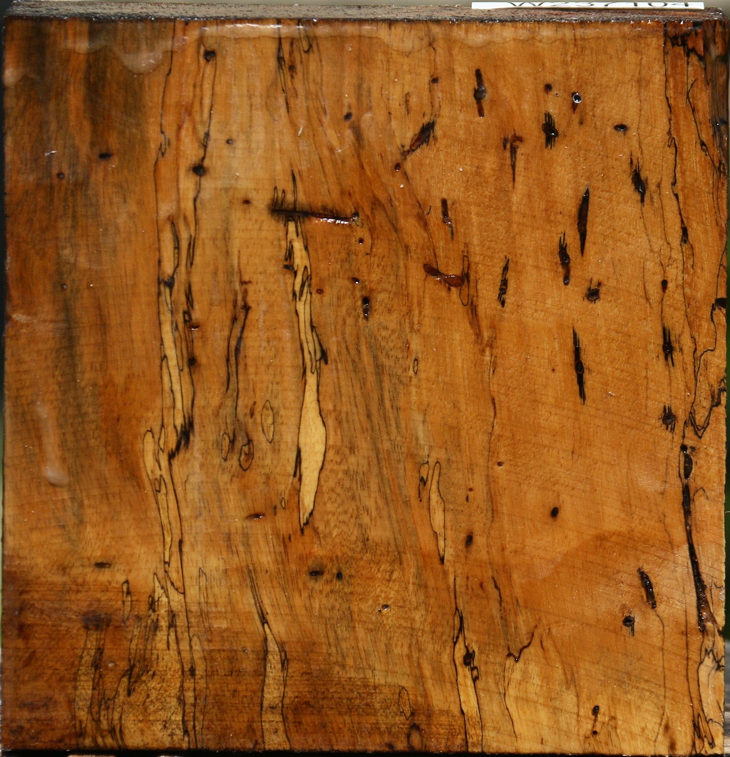 Spalted Tamarind Bowl Blank