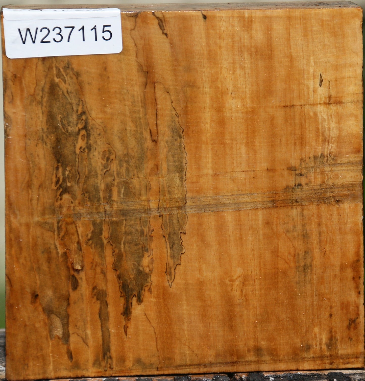 Figured Spalted Tamarind Bowl Blank