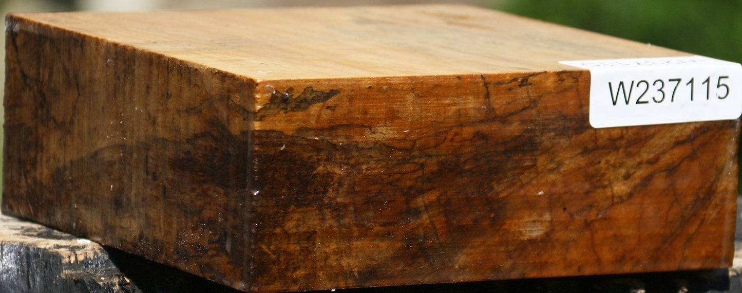 Figured Spalted Tamarind Bowl Blank