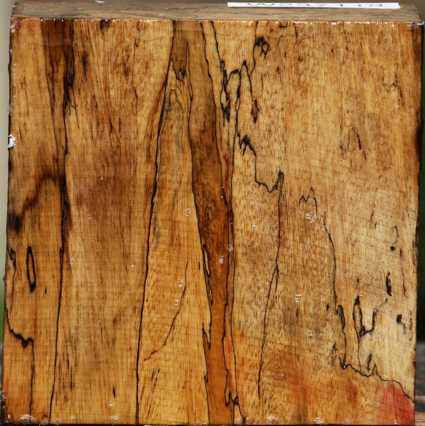 Extra Fancy Spalted Tamarind Bowl Blank