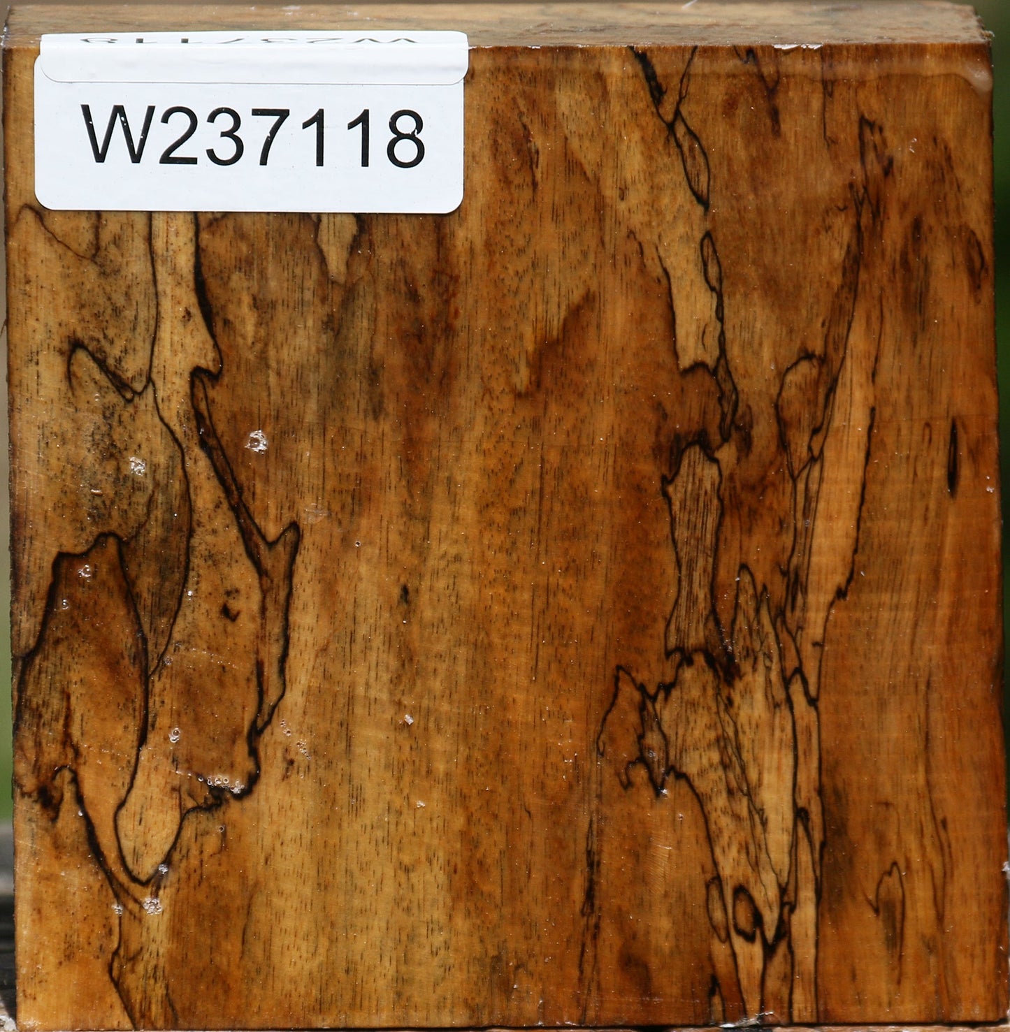 Extra Fancy Spalted Tamarind Bowl Blank