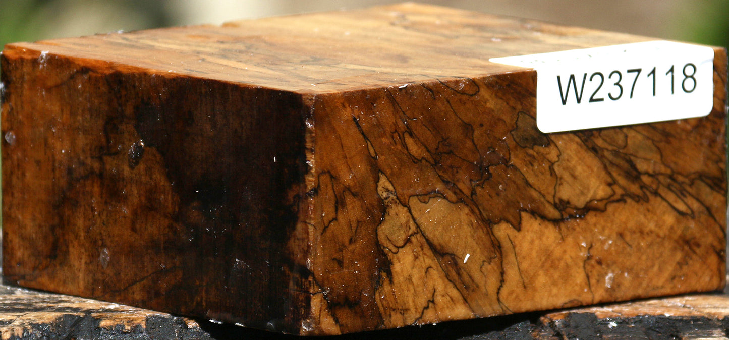 Extra Fancy Spalted Tamarind Bowl Blank