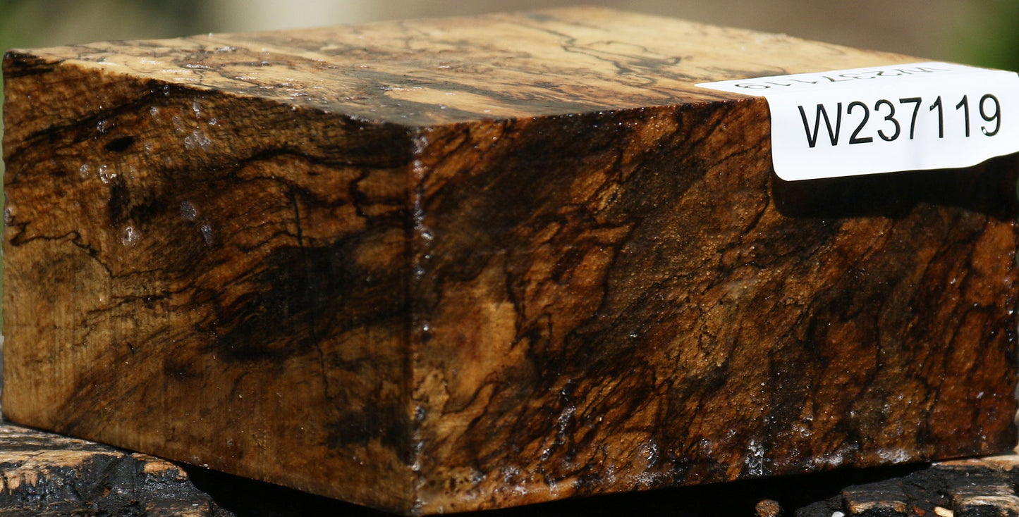 Extra Fancy Spalted Tamarind Bowl Blank