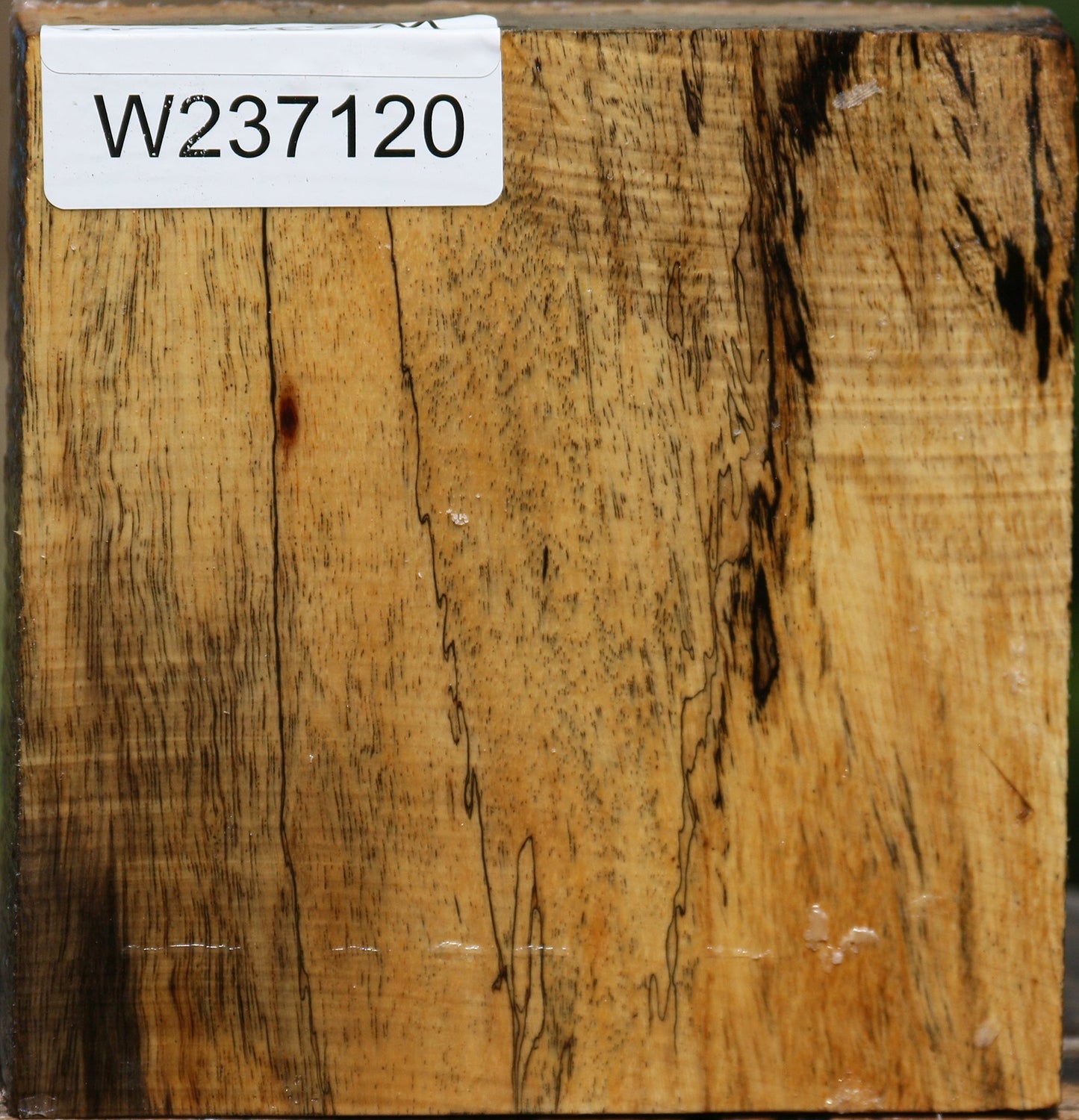 Spalted Tamarind Bowl Blank