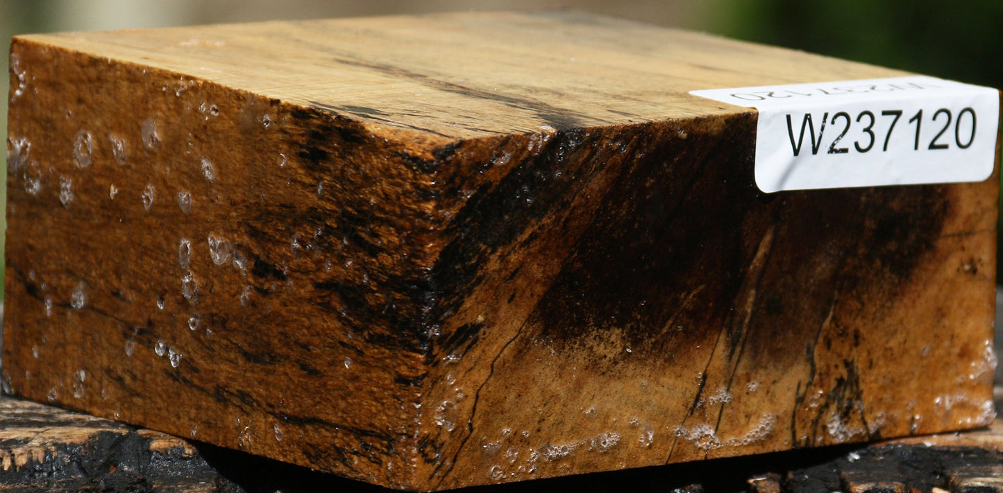 Spalted Tamarind Bowl Blank