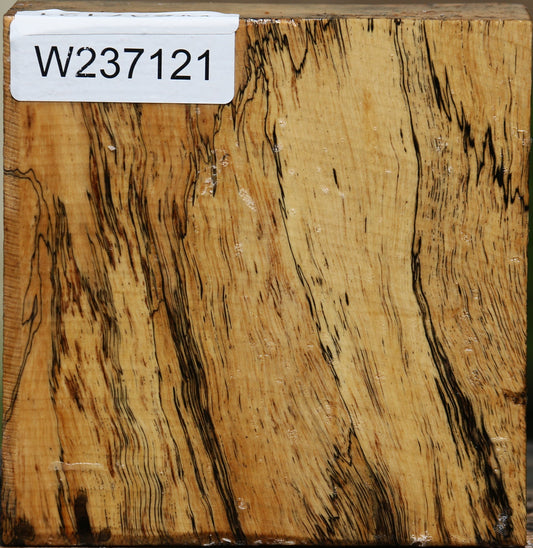 Extra Fancy Spalted Tamarind Bowl Blank