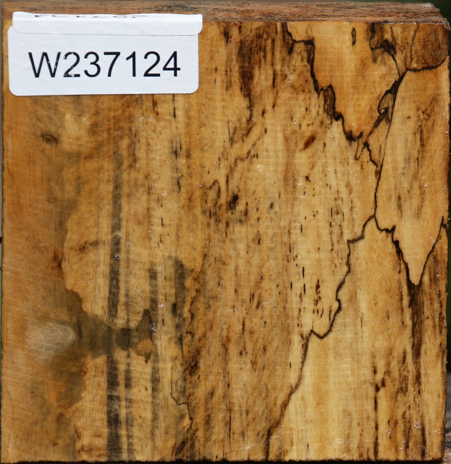 Figured Spalted Tamarind Bowl Blank