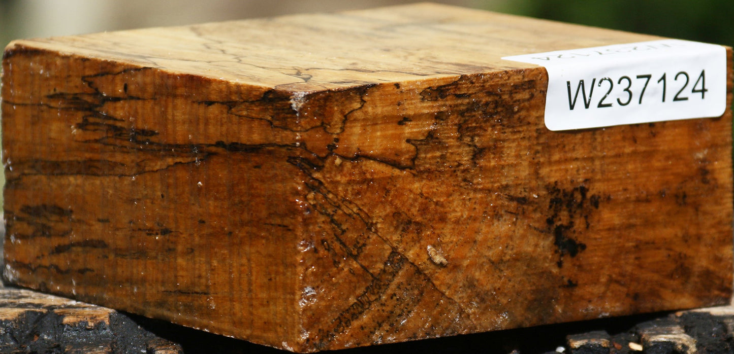 Figured Spalted Tamarind Bowl Blank