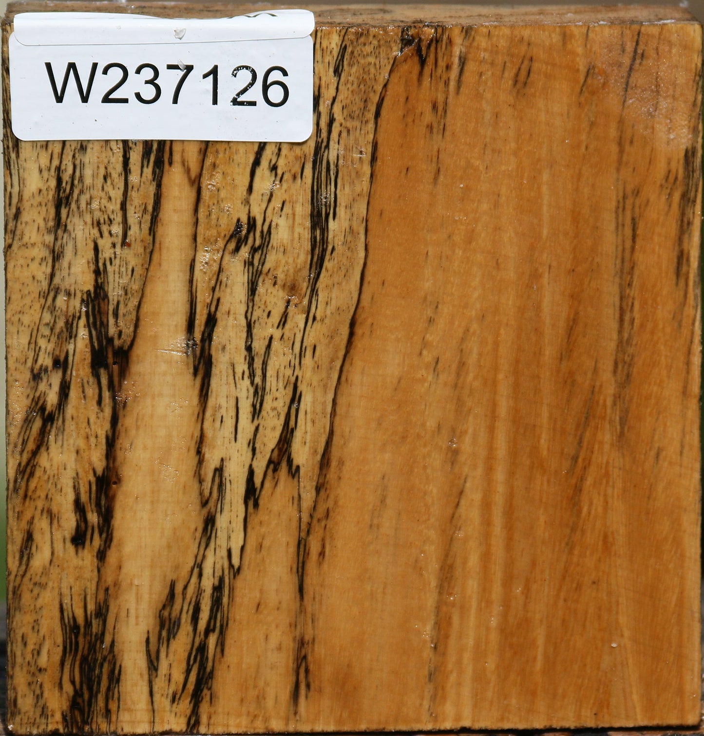 Spalted Tamarind Bowl Blank