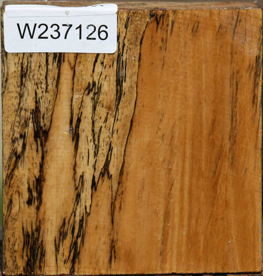 Spalted Tamarind Bowl Blank