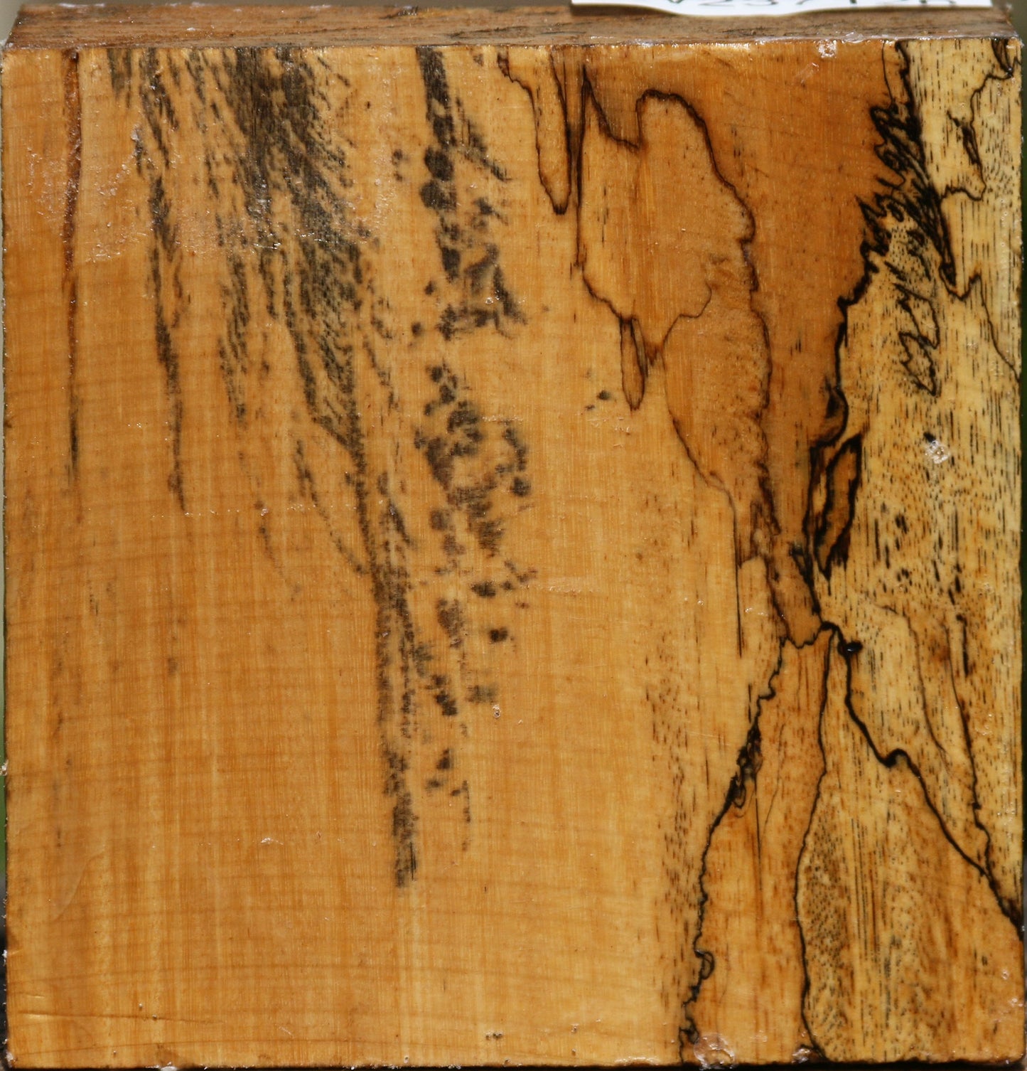 Spalted Tamarind Bowl Blank