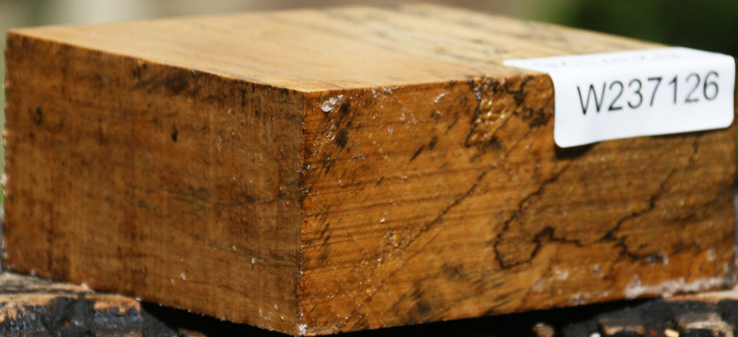 Spalted Tamarind Bowl Blank