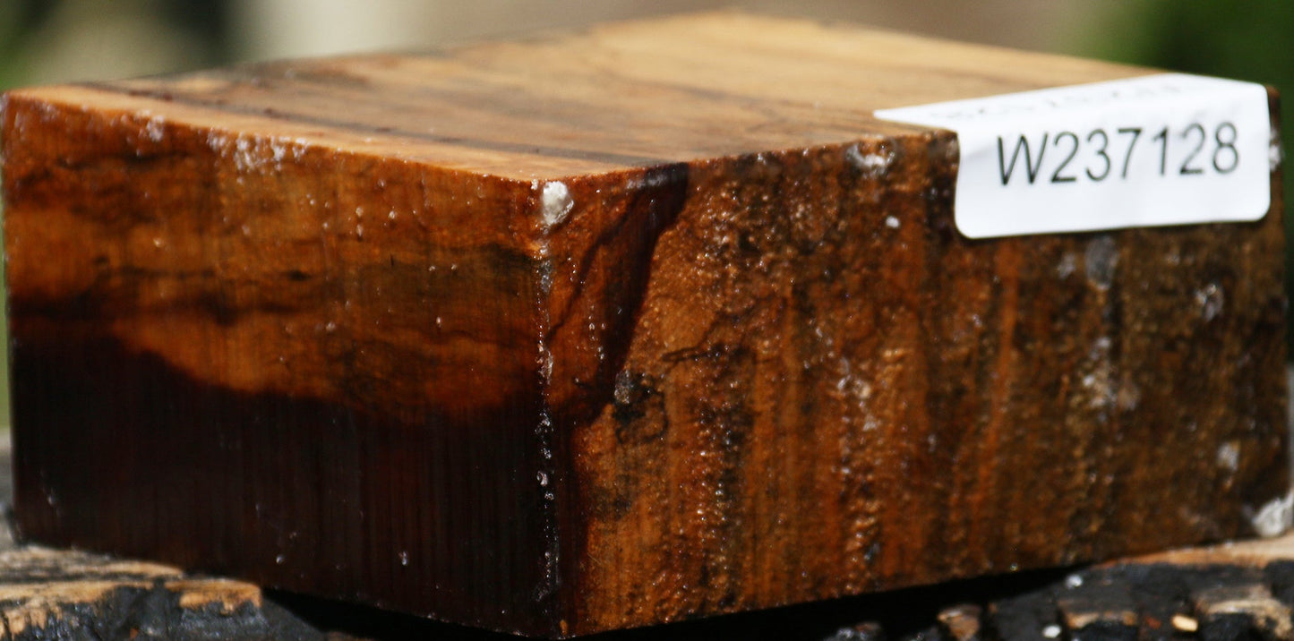 Spalted Tamarind Bowl Blank