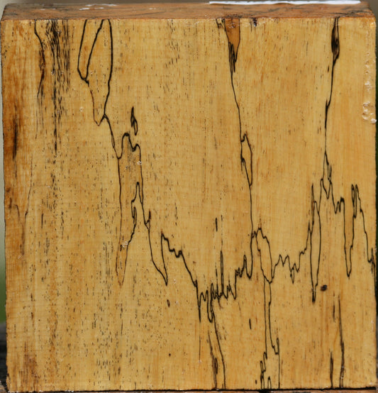 Spalted Tamarind Bowl Blank