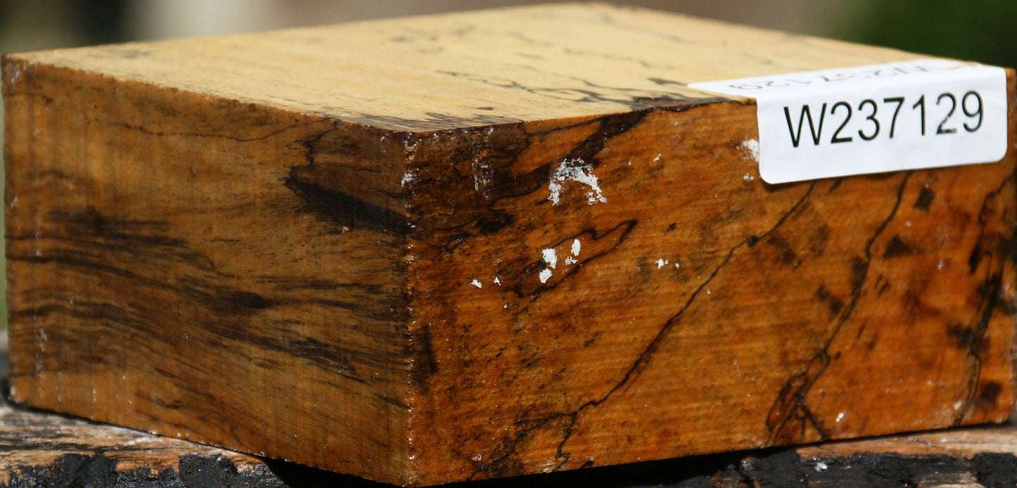 Spalted Tamarind Bowl Blank