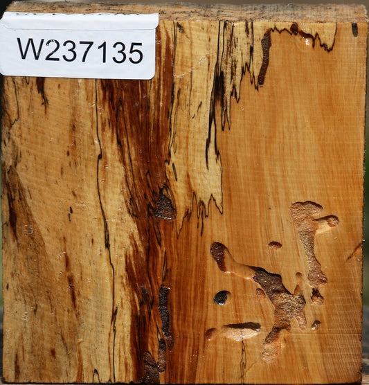 Figured Spalted Tamarind Bowl Blank