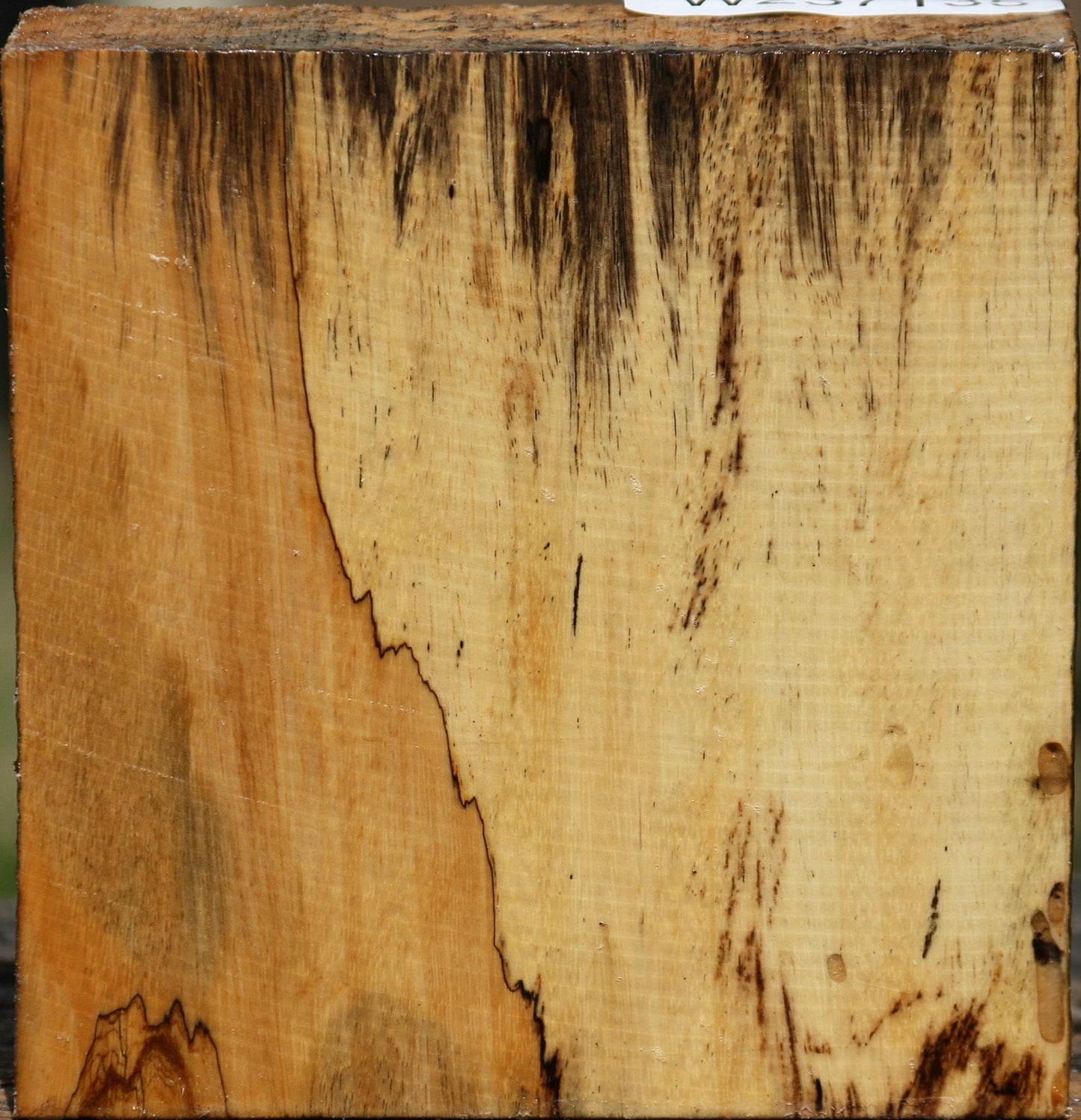 Figured Spalted Tamarind Bowl Blank