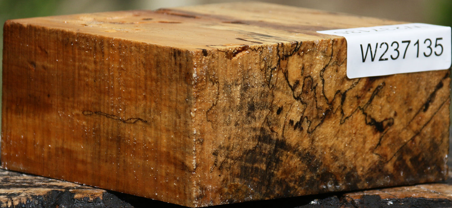 Figured Spalted Tamarind Bowl Blank