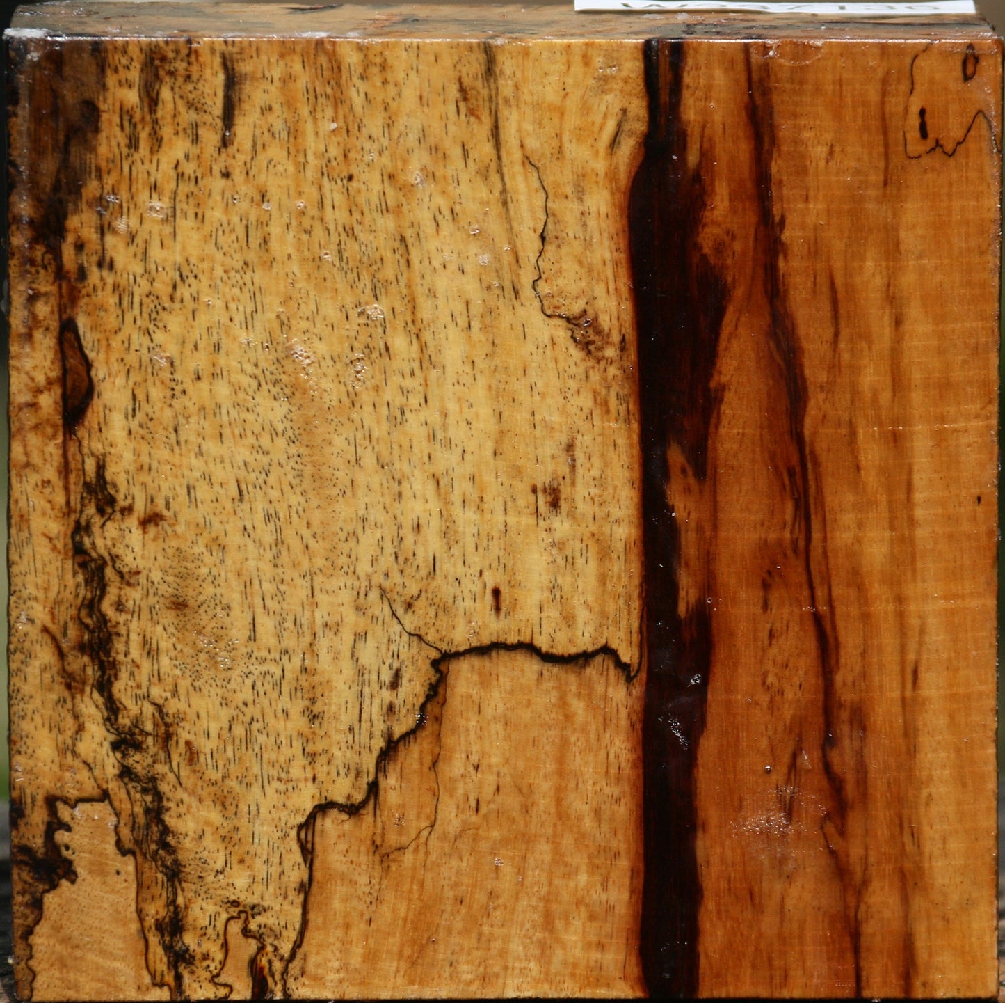 Figured Spalted Tamarind Bowl Blank