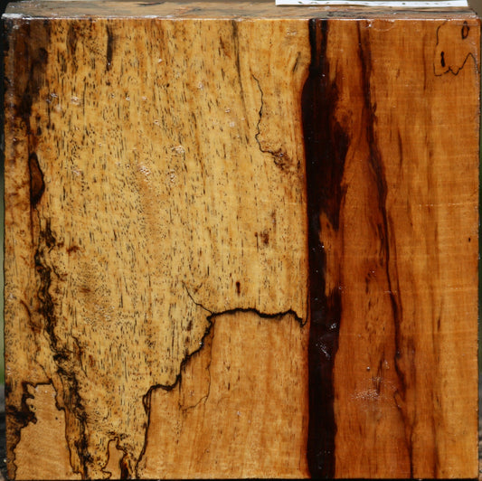 Figured Spalted Tamarind Bowl Blank