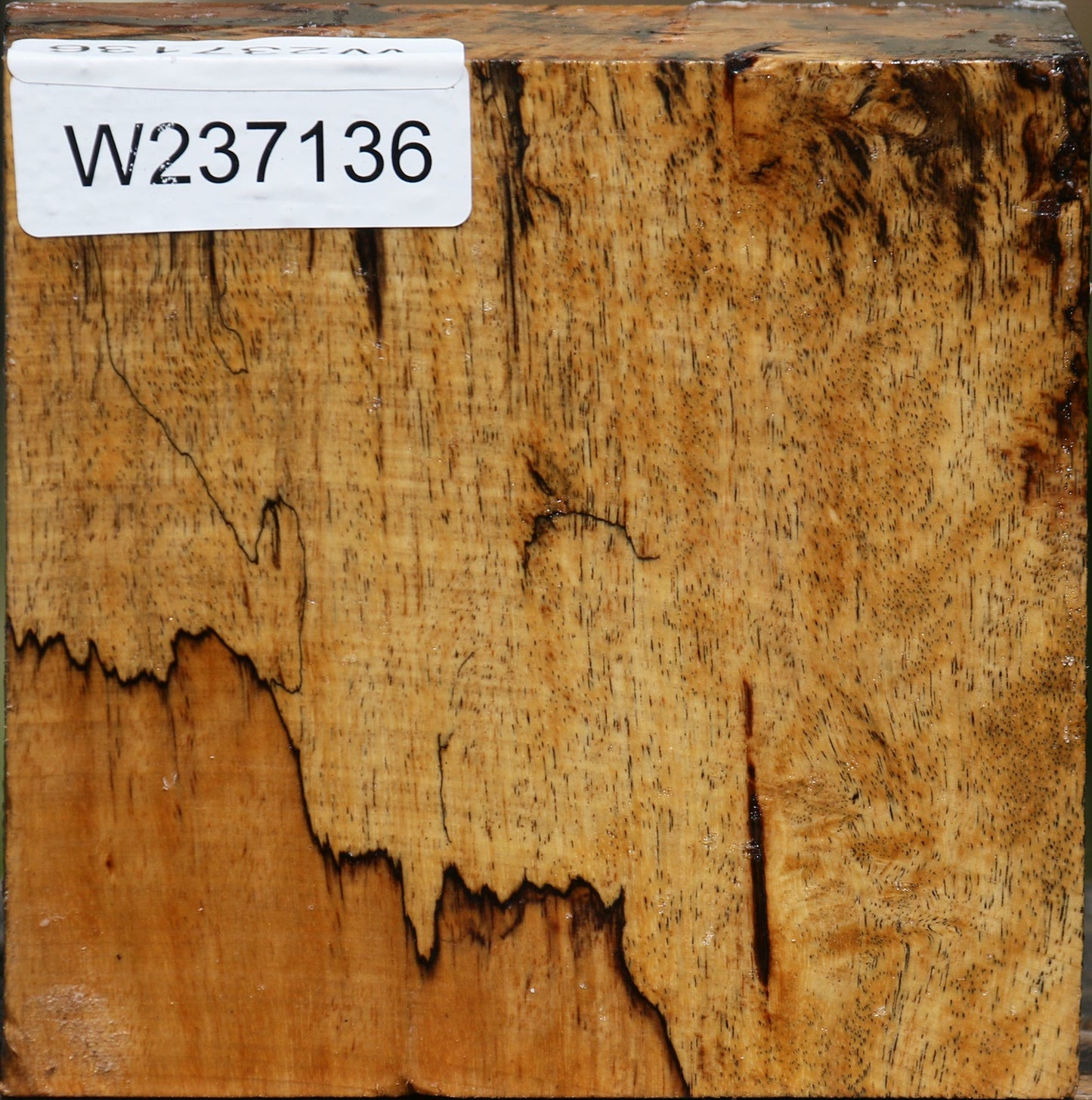 Figured Spalted Tamarind Bowl Blank