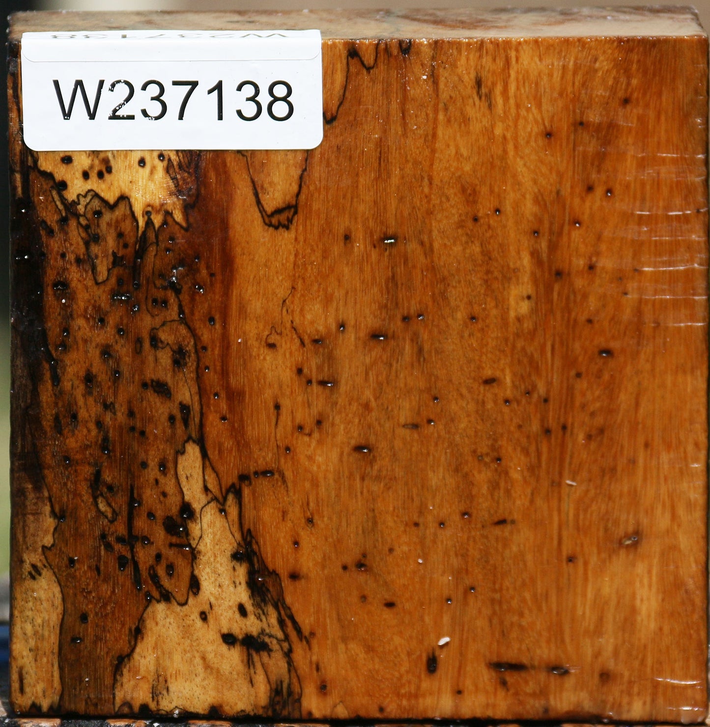 Spalted Tamarind Bowl Blank