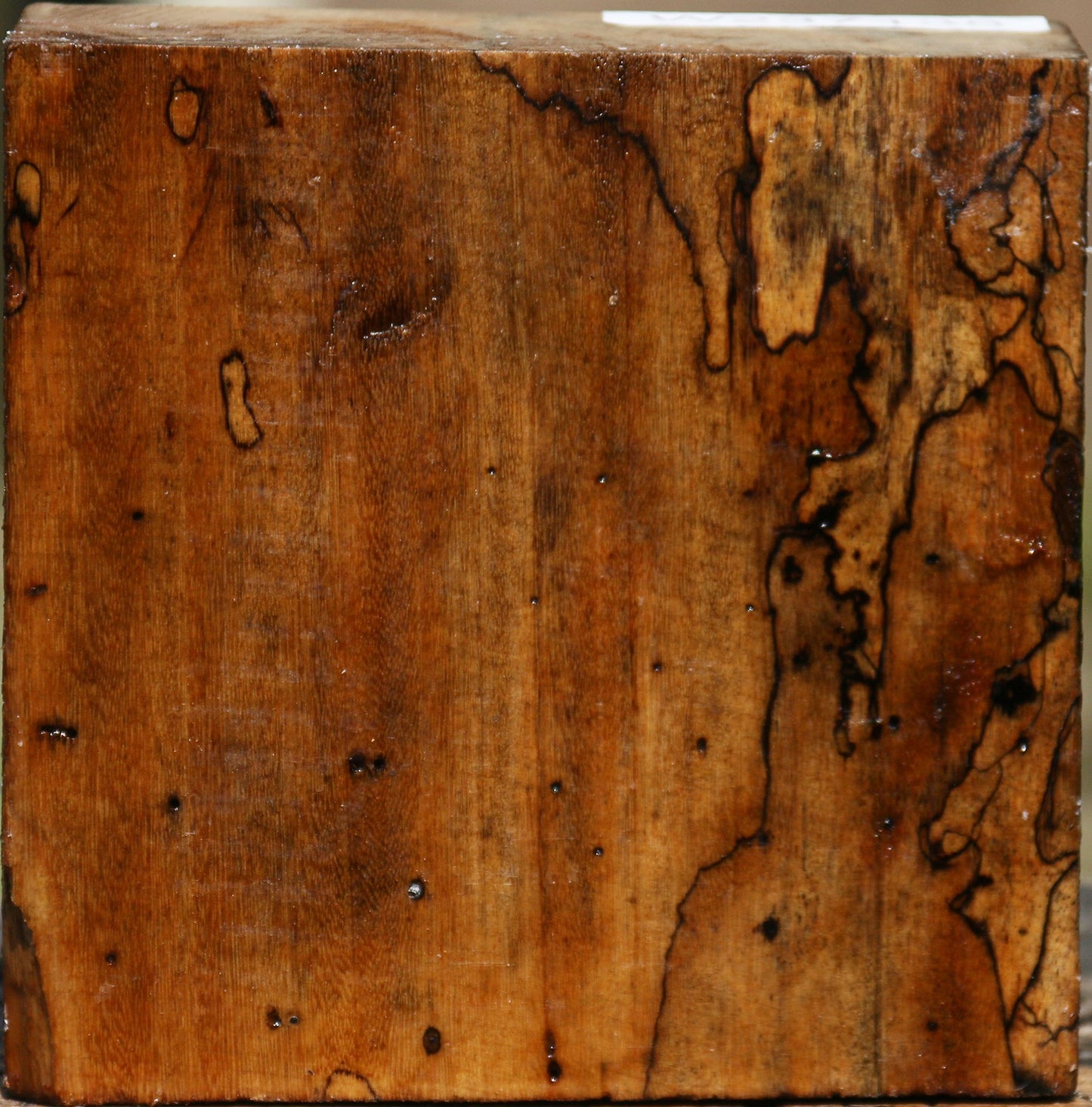 Spalted Tamarind Bowl Blank