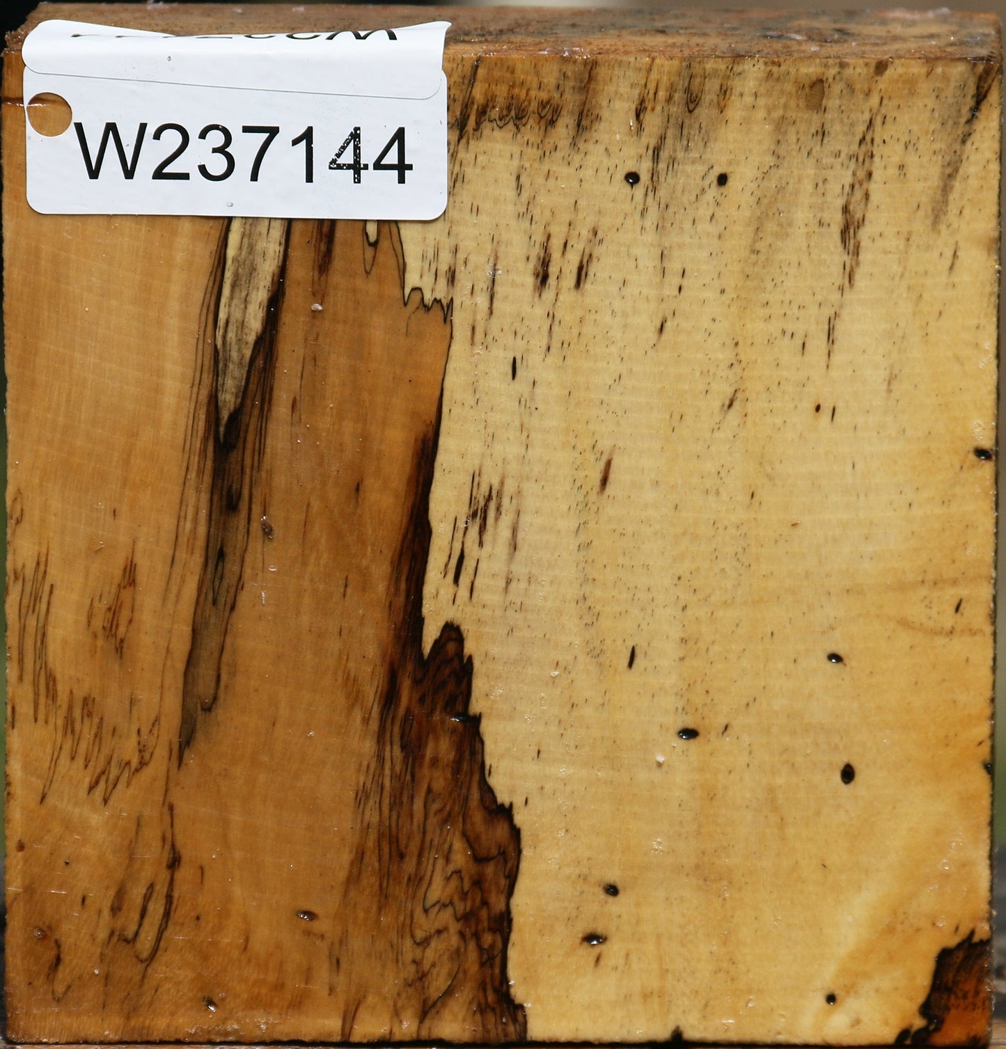 Figured Spalted Tamarind Bowl Blank