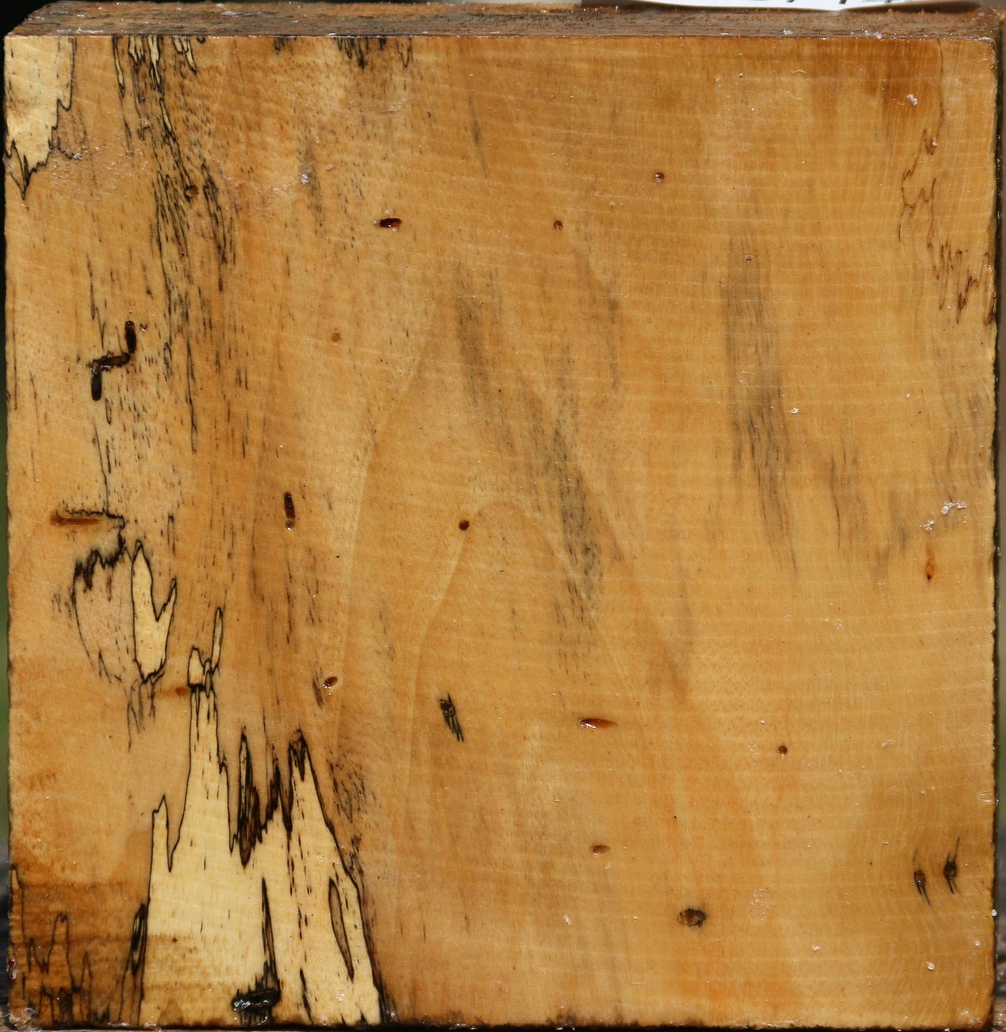 Figured Spalted Tamarind Bowl Blank