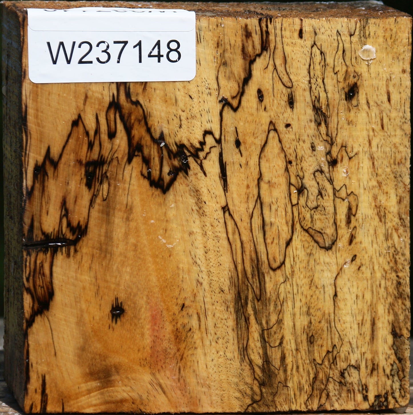 Figured Spalted Tamarind Bowl Blank