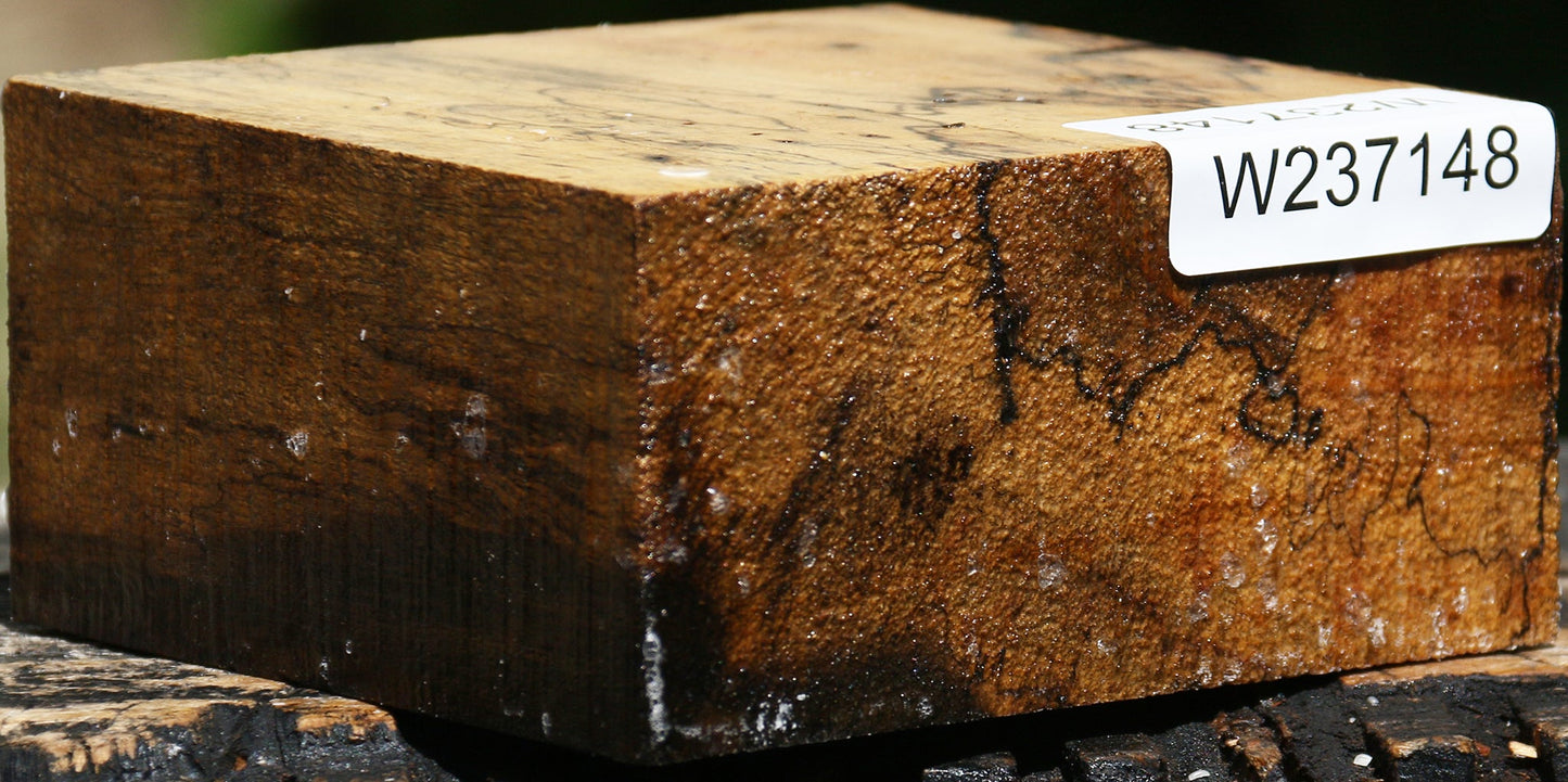 Figured Spalted Tamarind Bowl Blank