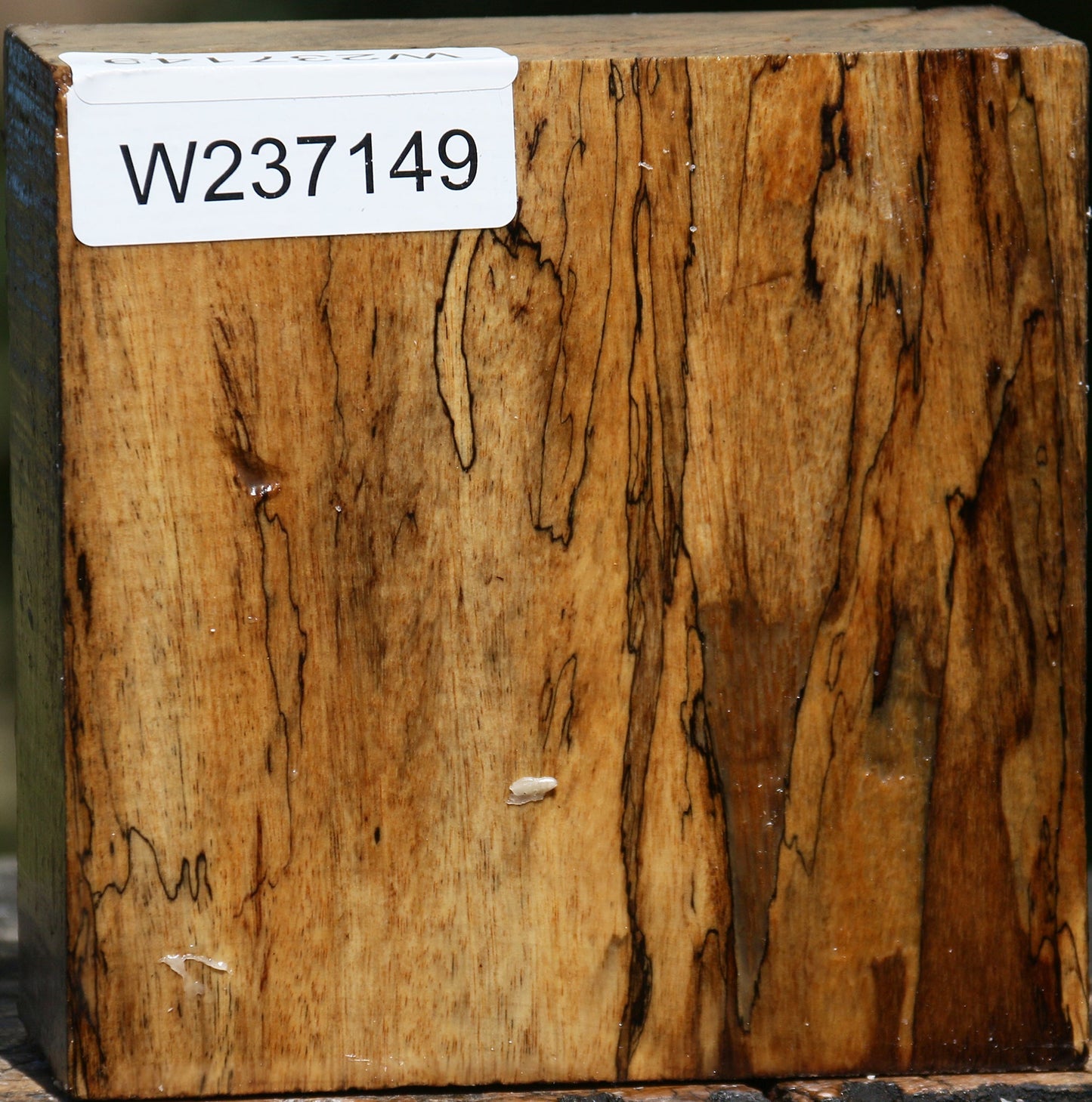 Figured Spalted Tamarind Bowl Blank