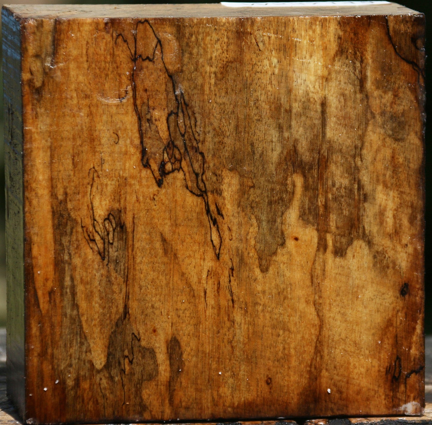 Figured Spalted Tamarind Bowl Blank