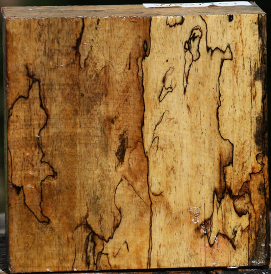 Extra Fancy Spalted Tamarind Bowl Blank