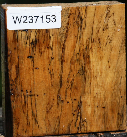 Spalted Tamarind Bowl Blank