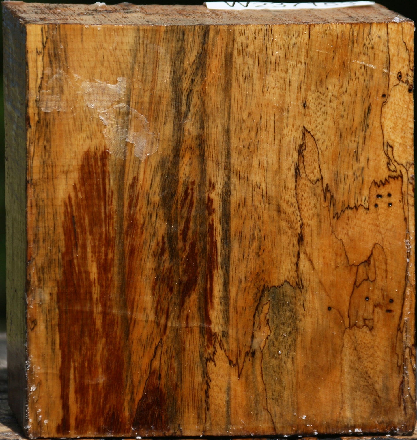 Spalted Tamarind Bowl Blank